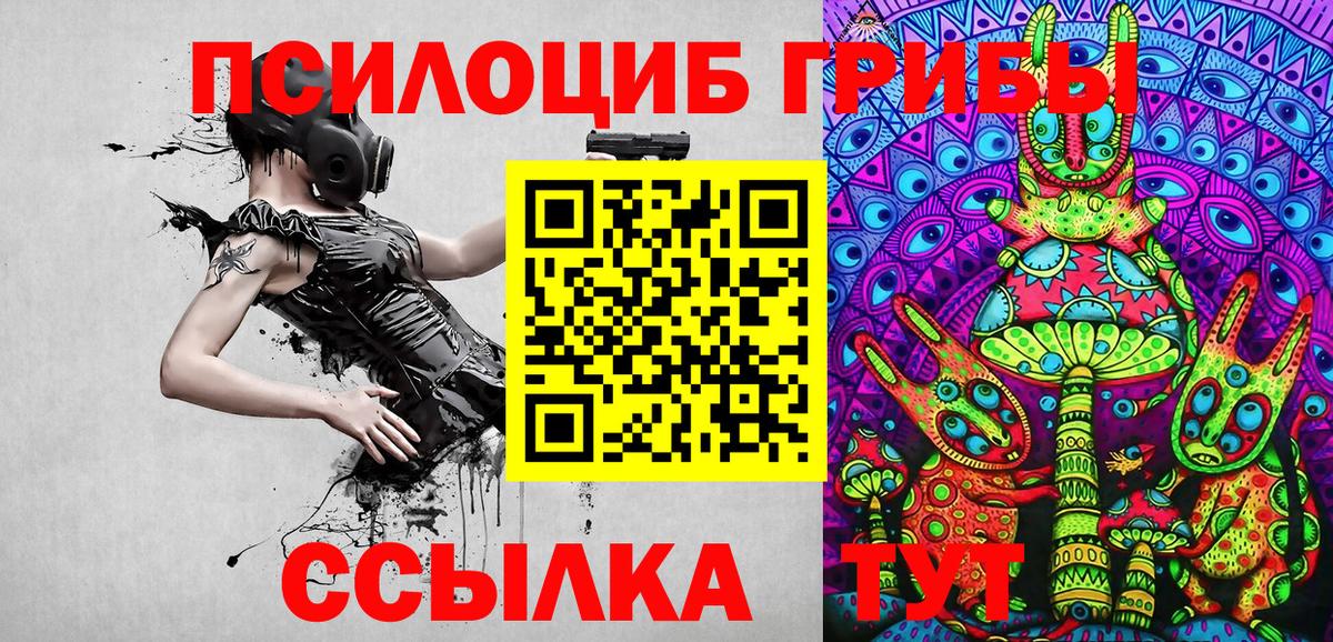 Галлюциногенные грибы MAGIC MUSHROOMS  Вход с VPN  Павлово 